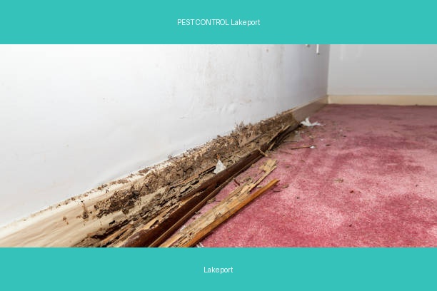 PEST CONTROL Lakeport